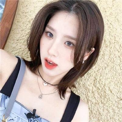 你好霸王龙